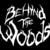 Logo du groupe Behind The Woods